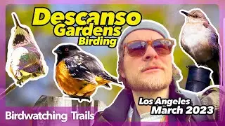 Birdwatching Challenge - Descanso Gardens - March 2023