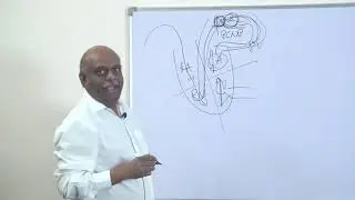 NEET MDS Online Coaching Physiology Topic 01 PRINCIPLES OF HEMODYNAMICS AND BLOODVESSELS