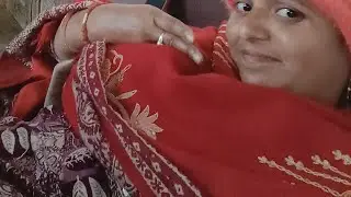Anita yadav 393 लाइव है! गुड मॉर्निंग दोस्तों राधे राधे वेलकम है हमारे लाइफ में स्वागत है