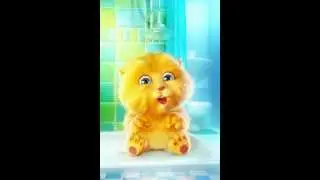 Cute kitten singing Happy Birthday