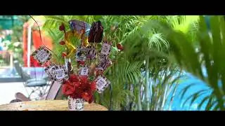 Ring Ceremony-promo | Indian Wedding |Engagement Ceremony | Royal Dream