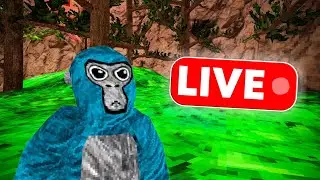 🏮Gorilla Tag Live Birthday Eve!🏮