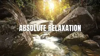 Deep Forest River Sounds for Sleeping & Study | 2+ Hours of 4K Nature Ambience