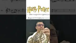 HARRY POTTER MUSIC THEME ON FRENCH HORN #harrypotter #harrypotterfan #frenchhorn #brassinstrument