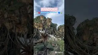 PANDORA | El Mundo Avatar💙🌺 #avatar #disney #viral #parati #waltdisneyworld #animalkingdom