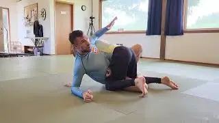 Ratchet Lever Seminar 10 Half Guard Applications