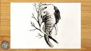 How to draw elephant face || Step by Step || For beginners || @ekchotakent