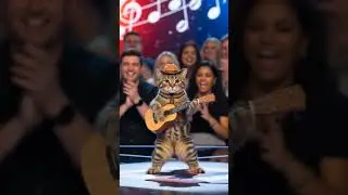 Cat Performance AGT #catperformance #americasgottalent #magicalcats #talentedcat #shortsfeed