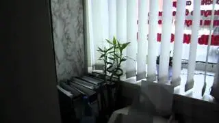 CIMG0252