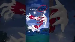 Нашел SHINY YVELTAL без рейда... #видео #исследование #шорты #корм #блестящий #легенда #поймать #...