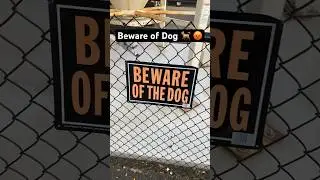 Beware of Dog 🐕 😱 ☠️ #dog
