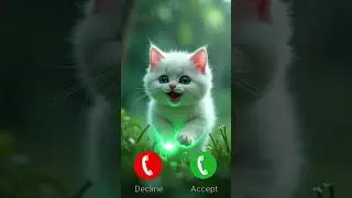 Happy Cat is Calling Ringtone Green ✅ #calling #cat #call #ringtone #2025