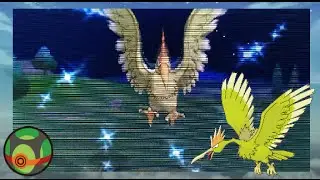 LIVE!! Shiny Fearow after 3539 SRs! (Pok&eacute;mon X)