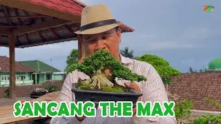 YANG CARI AMUNISI THE MAX SINI MAMPIR👏👏