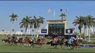 Fountain of Youth Stakes Analysis (2023) | Kentucky Derby Prep