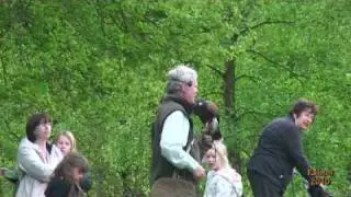 Falcons, Families & fun