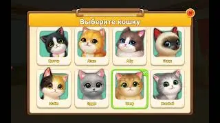 Kitten Match New cat 