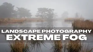 Extreme Foggy Day of Landscape Photography │ Tips for Finding Compositions │ OM-1