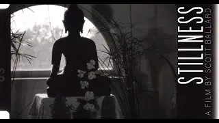 Stillness