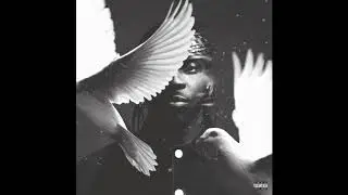 FREE Trap Beat / Trap Instrumental / Pusha T Type Beat 2019 / prod. oebeats