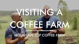 A VISIT TO MOUNTAIN TOP COFFEE FARM AND INTERVIEW WITH OWNER JASON!
