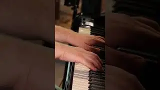 Andrew Wilcox's 