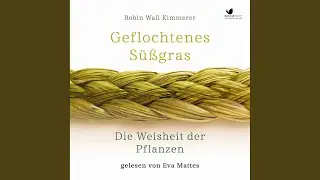 Kapitel 22.14 - Geflochtenes S&uuml;&szlig;gras. Die Weisheit der Pflanzen