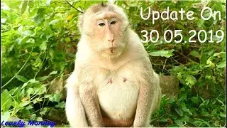 June Seem Term In Labor | Look Her Belly Is 0n Time To Deliver| Will Welcome Newborn Baby Soon Amber