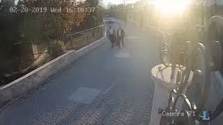 „Не се секирај за ништо, се ќе биде ок“- Катица му 'гарантира' на Орце