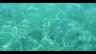 Water 1 caustic ripples 23s 4kres