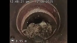 Mana plumbing stormwater locate 23 shannon street