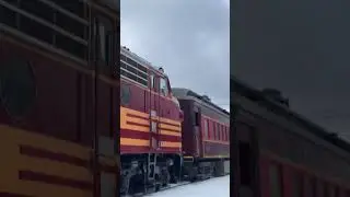 F units
