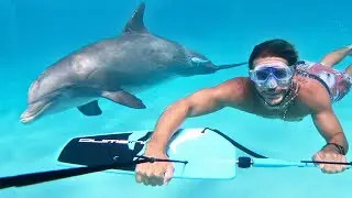 Dolphin And Her Human Bestie Are 