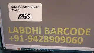Serial number with 2D Barcode printing on Polyester Labels on Citizen CL-E321 By Labdhi Barcode.