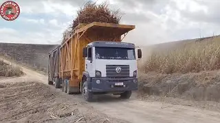 movimenta&ccedil;&atilde;o intensa de caminh&otilde;es e tratores no carregamento de cana 🚜🚛