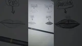 How to lips drawing #art #drawing #lipsdrawing #artwork #pencilportrsit lippanartwork #easydrawing