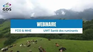 Webinaire : la FCO & la MHE