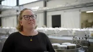 Sustainability and BRI's Research Winery