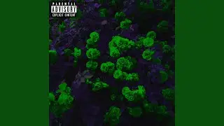 Fantasy
