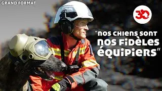 CHIENS & POMPIERS DE PARIS : les coulisses d&rsquo;un duo h&eacute;ro&iuml;que