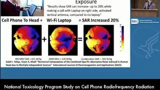 The Increasing Wireless Exposure to Children: National Toxicology Program Cell Phone Radiation Study