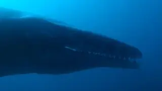 The Dinosaurs [2026] - Tylosaurus Screen Time