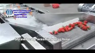 Yazhong strawberry washer price | strawberry cleaning machine | strawberry fruit washing equipment
