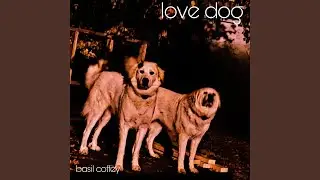 Love Dog