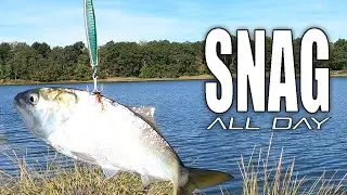 SNAGGING Bait and Bluefish in the Back Bay! (Fall Run Fishing - Featuring FishNY!)