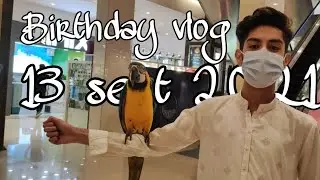 My Birthday vlog | Chaand taaray