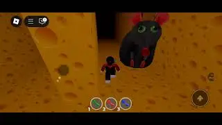 Jogando jogo do rato
