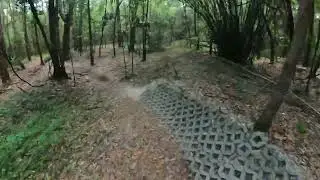 Nipsy Daiser MTB trail - Tillie Fowler