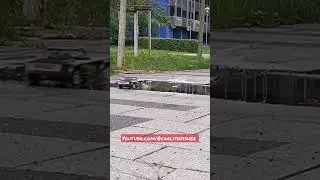 multi puddle splashing fun with rc drift car #rccars #rc #toys #puddle #shorts #udirc1602 #sg1604