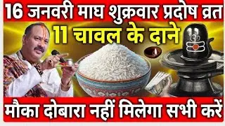 16 जनवरी माघ शुक्रवार प्रदोष व्रत के दिन 11 चावल के दाने वाला उपाय जरुर करे || Pradeep Ji Mishra ❤️🙏